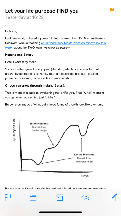 let your life purpose FIND you